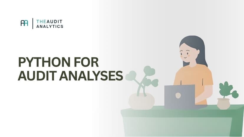 Why Python is valuable for auditors